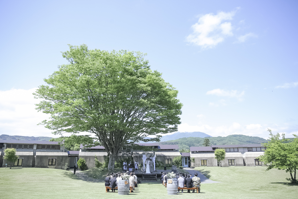 挙式後のアフターセレモニーで、雄大な山々と青空をバックにフラワーシャワーの祝福を受ける新郎新婦とゲストの様子